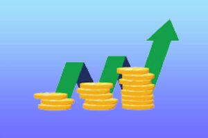 Fundraising Volunteer Program